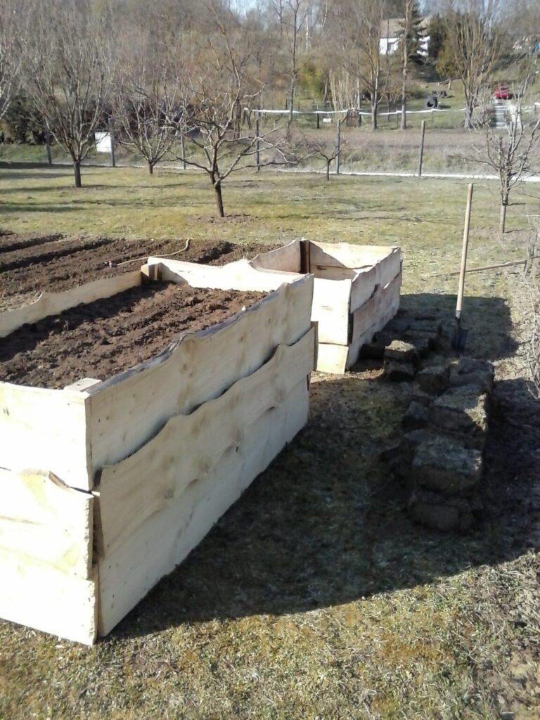 Két elkészült, feltöltött magaságyás a kertben, ültetés előtti állapotban