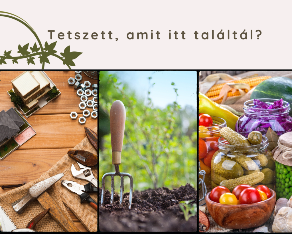 Tetszett, amit itt találtál?