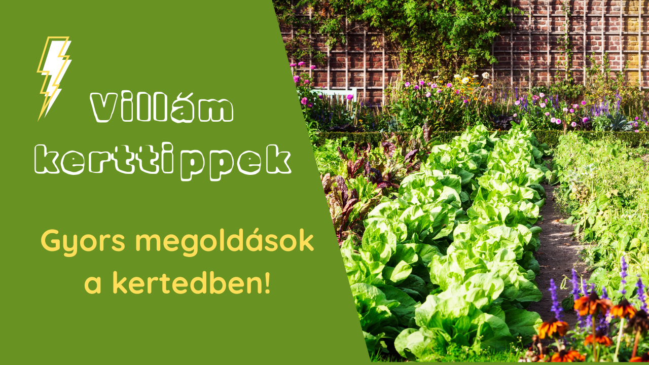 Villám kerttippek, gyors megoldások