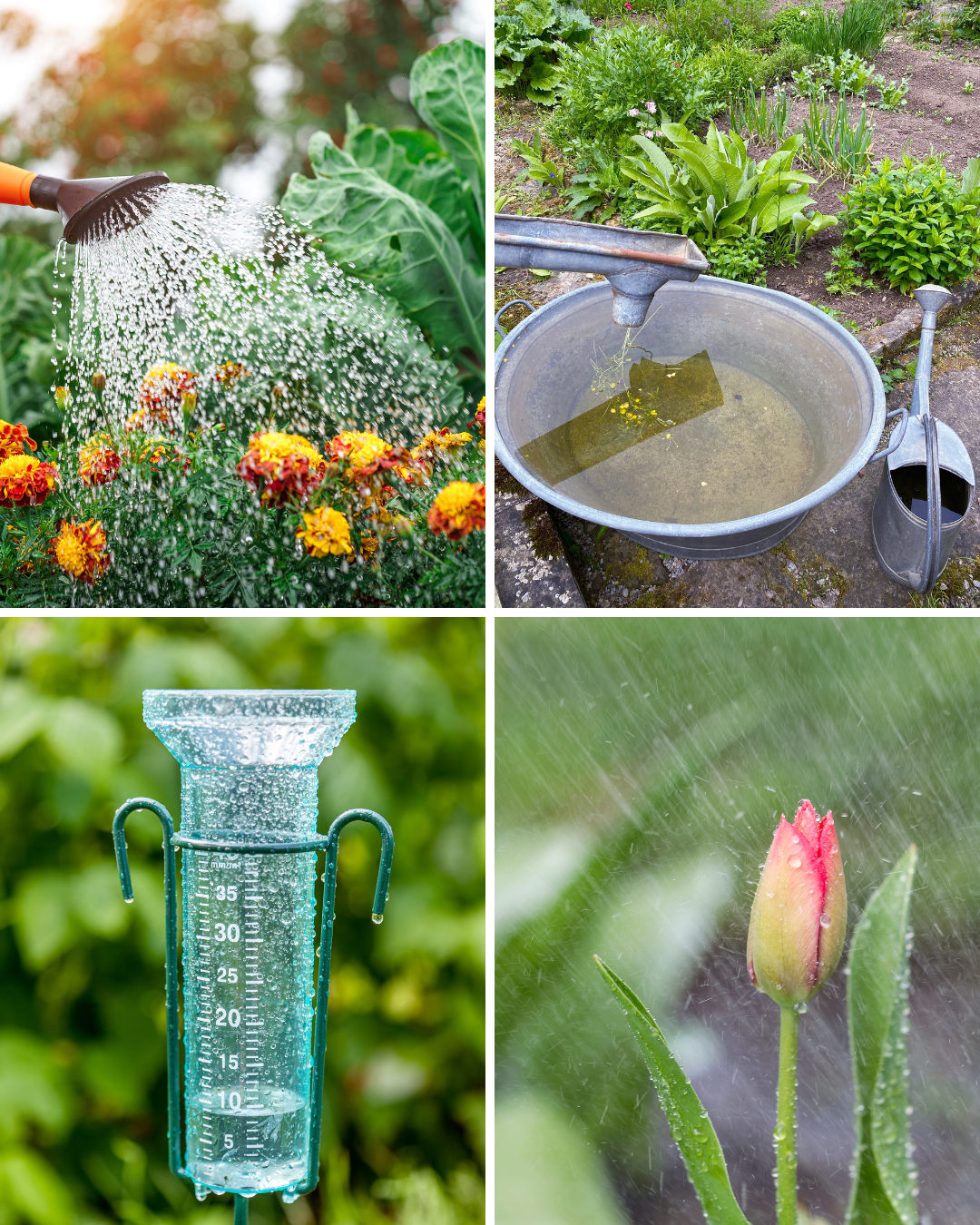 Vízgyűjtés a kertben kollázs 2