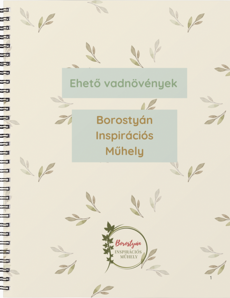 Ehető vadnövények minikiadvány füzetborító