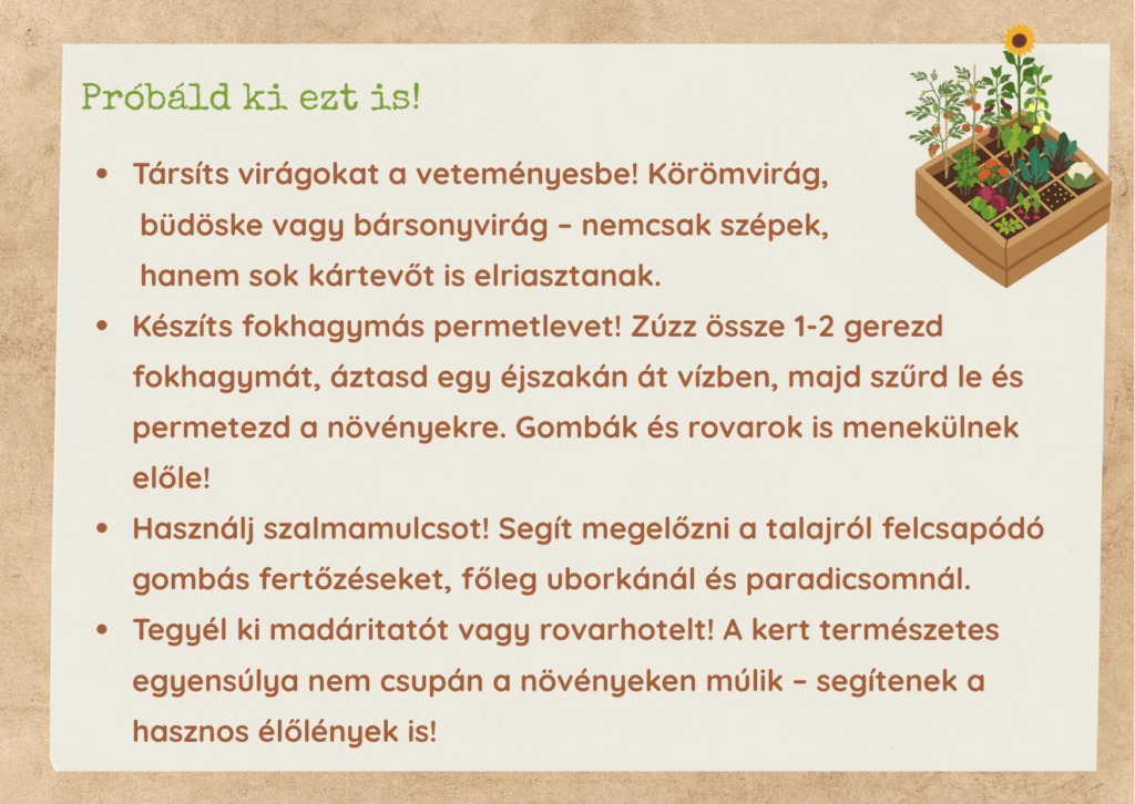 Próbáld ki ezt is - tippek