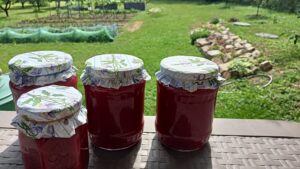 Házi eperlekvár díszes tetőpapírral befőttesüvegekben, háttérben konyhakert madárhálóval és virágágyás a kertben.