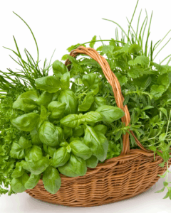 Fonott kosárban friss zöld fűszernövények, többek között bazsalikom, petrezselyem és citromfű.