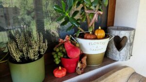 Őszi terasz dekoráció természetes termésekkel, mini tökökkel és hangulatos kaspókkal