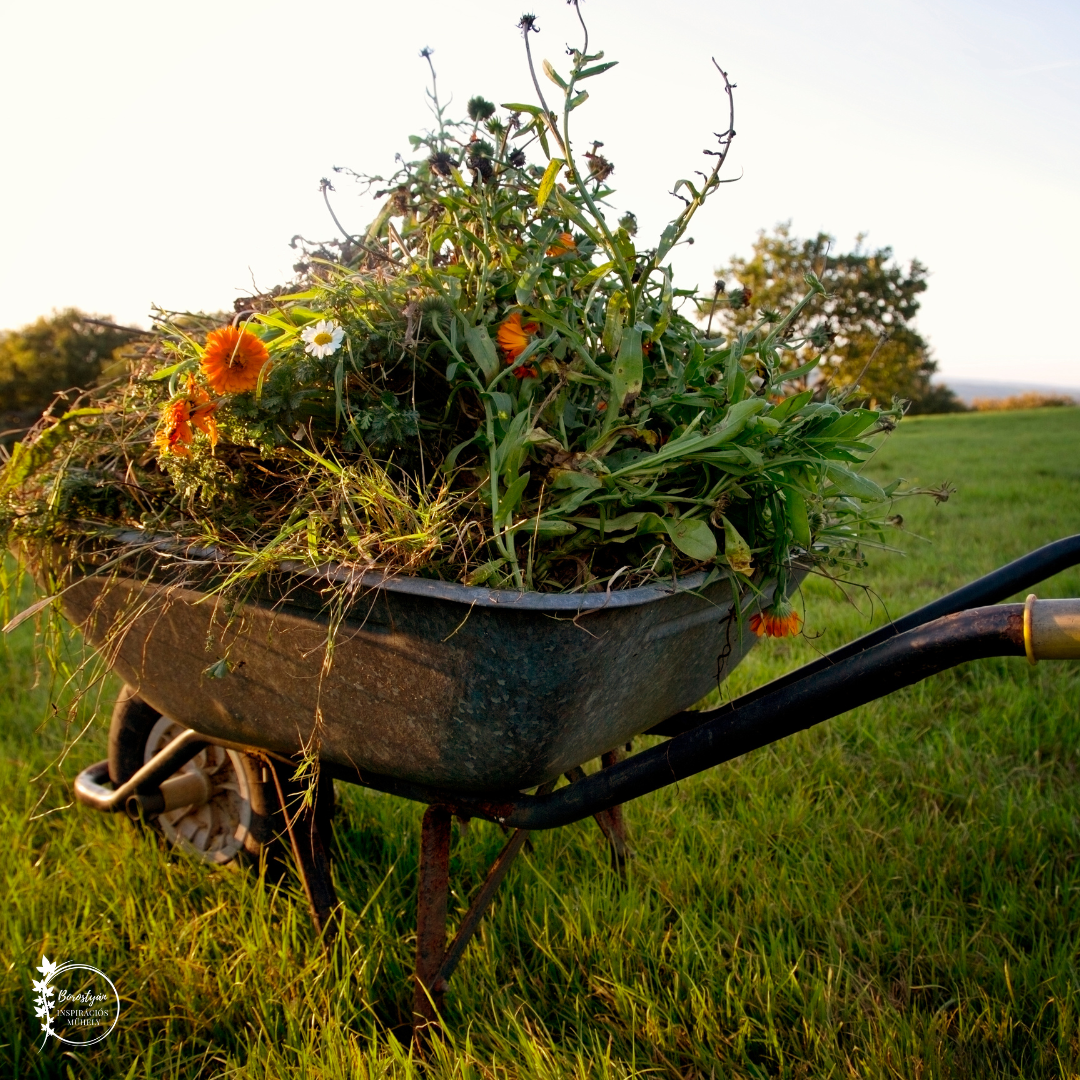őszi kerti teendők – őszi gyomlálás és ágyásrendezés a kertben