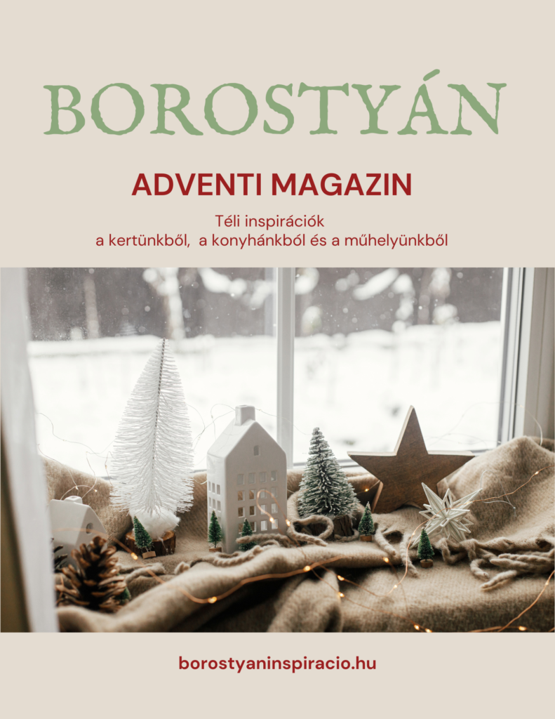 Borostyán Adventi Magazin borító, téli inspirációk a kertből, a konyhából és a műhelyből, letölthető ünnepi magazin.